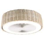 Ventilador de Techo Grunkel SKYWIND-20M/ 15W/ 5 Aspas/ 6 Velocidades